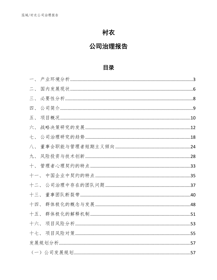 衬衣公司治理报告【参考】_第1页