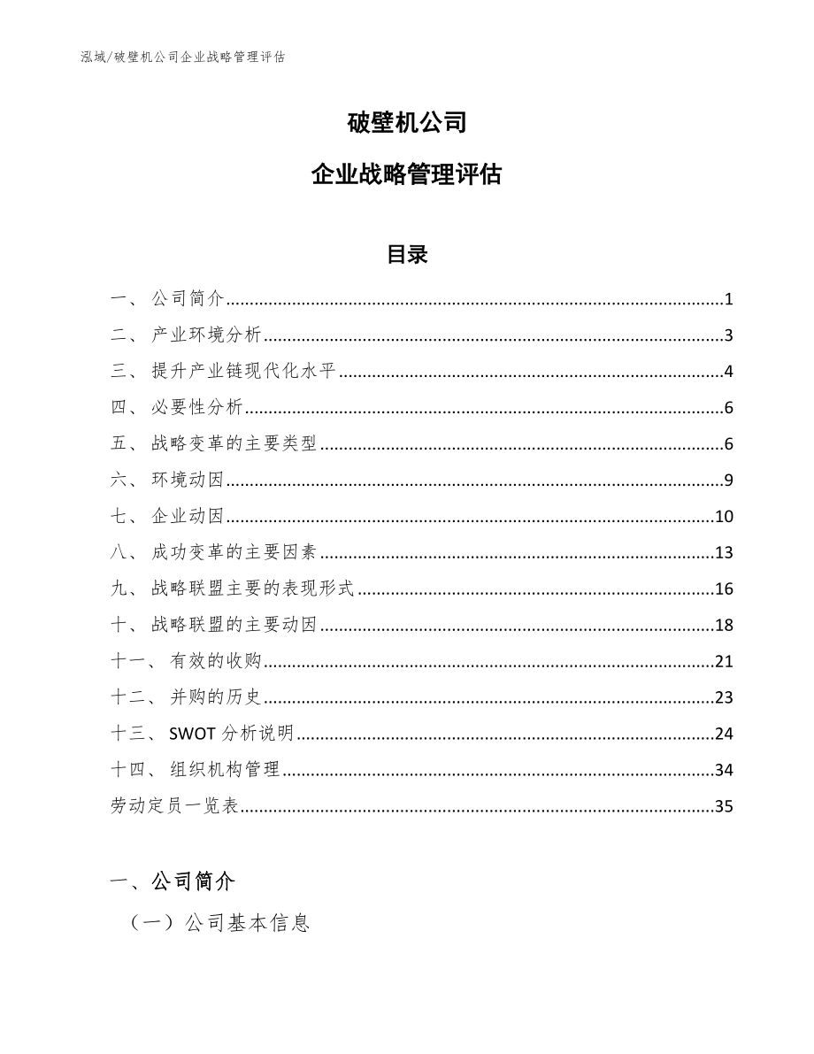 破壁机公司企业战略管理评估（范文）_第1页