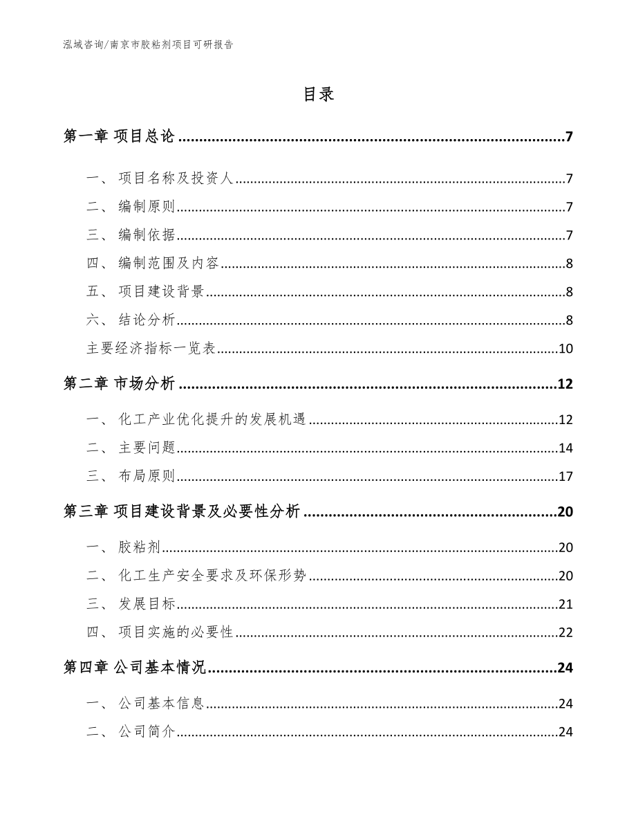 南京市胶粘剂项目可研报告_第1页
