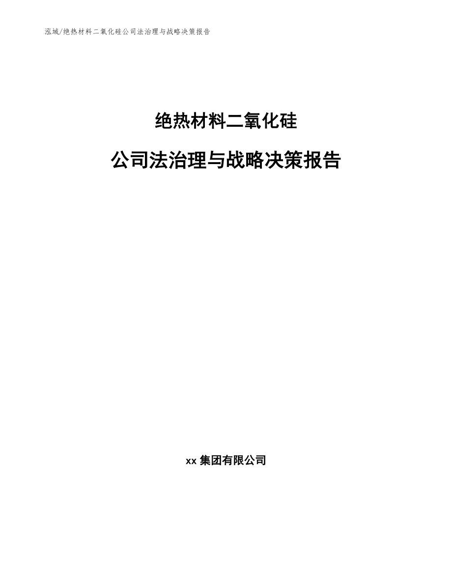 绝热材料二氧化硅公司法治理与战略决策报告_范文_第1页