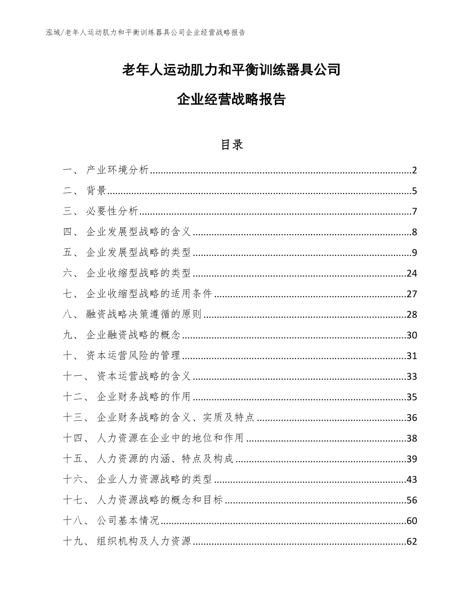 老年人运动肌力和平衡训练器具公司企业经营战略报告_范文_第1页