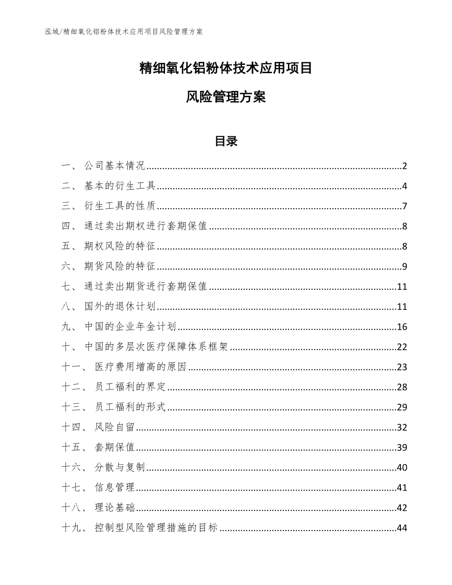 精细氧化铝粉体技术应用项目风险管理方案_第1页