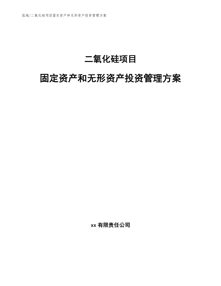 二氧化硅项目固定资产和无形资产投资管理方案（范文）_第1页