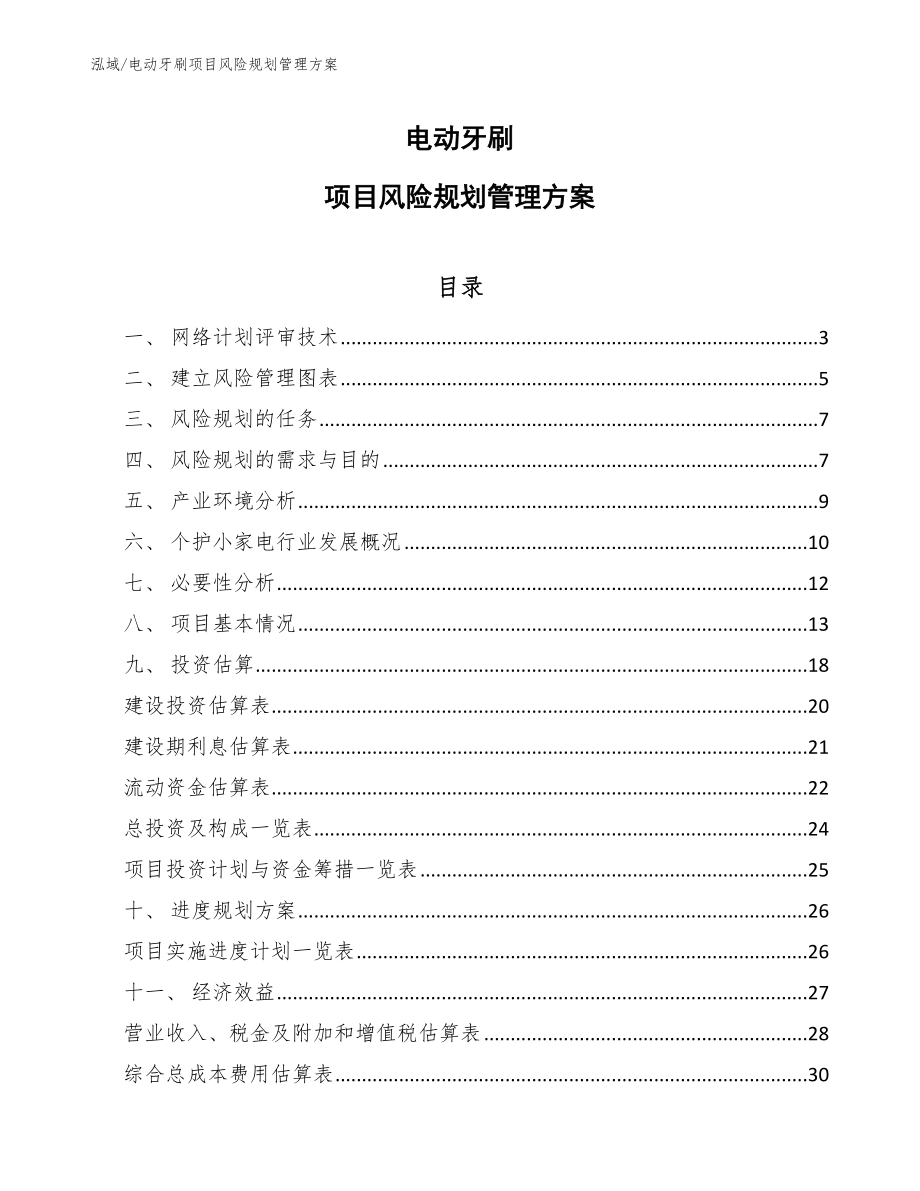 电动牙刷项目风险规划管理方案_第1页