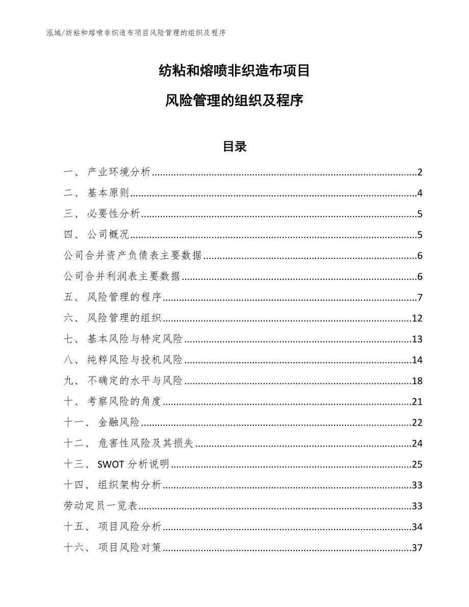 纺粘和熔喷非织造布项目风险管理的组织及程序【范文】_第1页