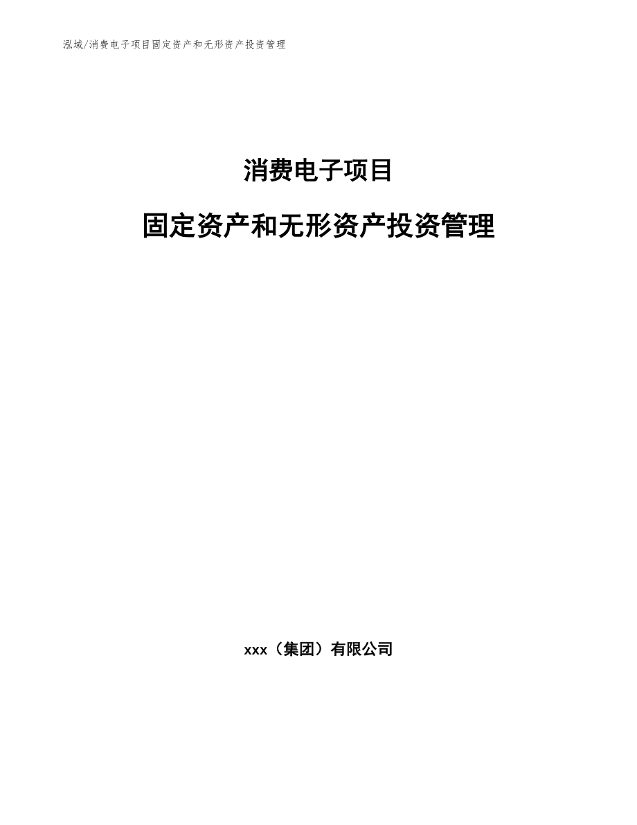 消费电子项目固定资产和无形资产投资管理（参考）_第1页