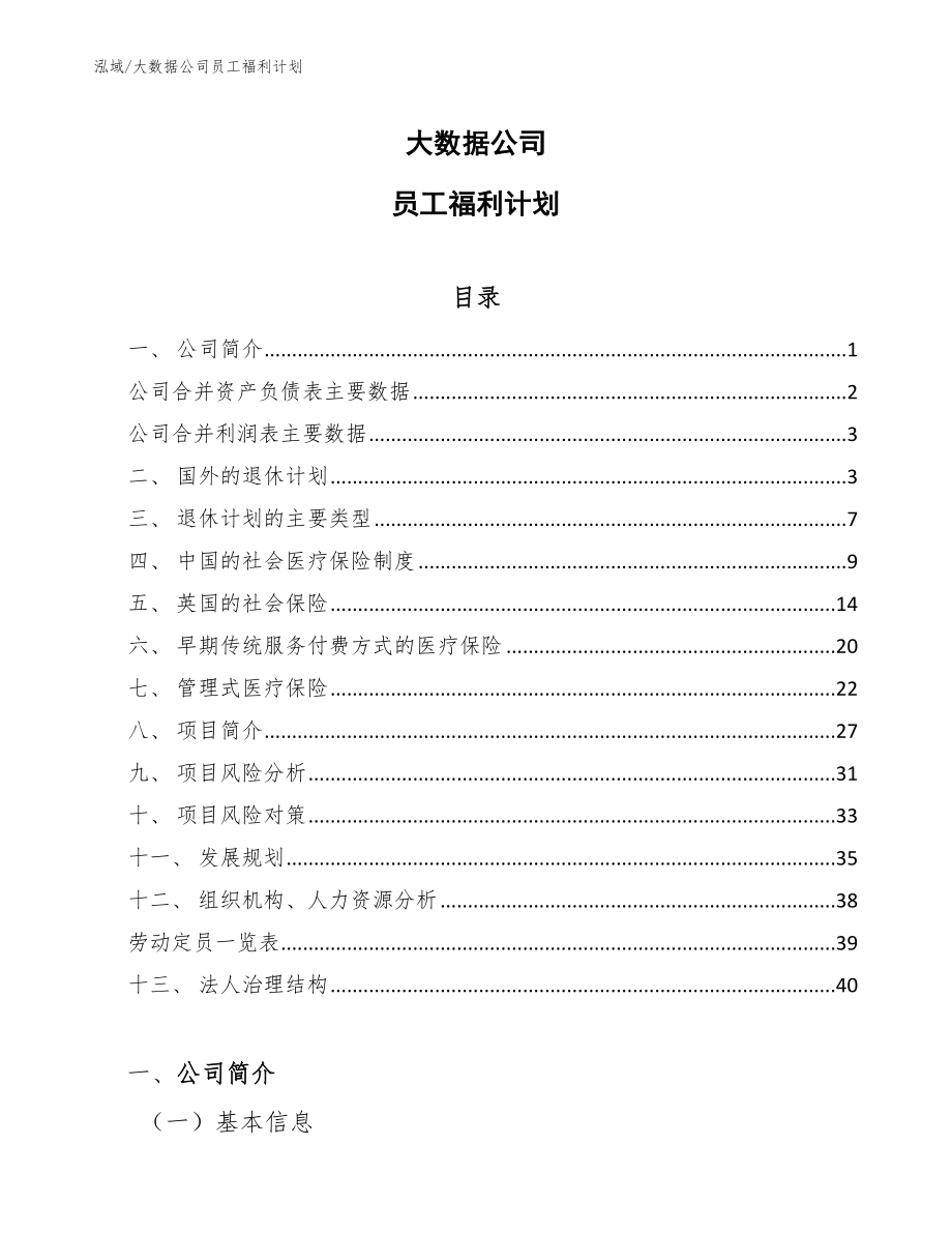 大数据公司员工福利计划（参考）_第1页