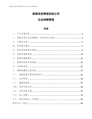 乘客信息管理系统公司企业战略管理【范文】