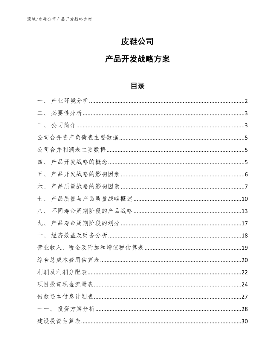 皮鞋公司产品开发战略方案（范文）_第1页