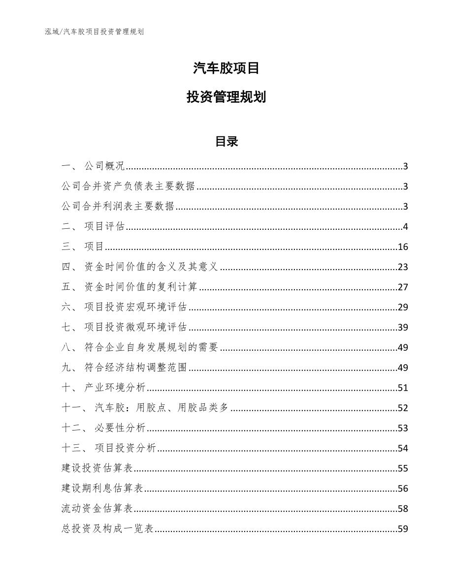 汽车胶项目投资管理规划_第1页