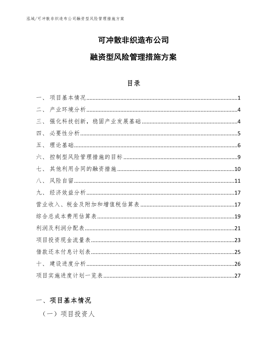 可冲散非织造布公司融资型风险管理措施方案（参考）_第1页