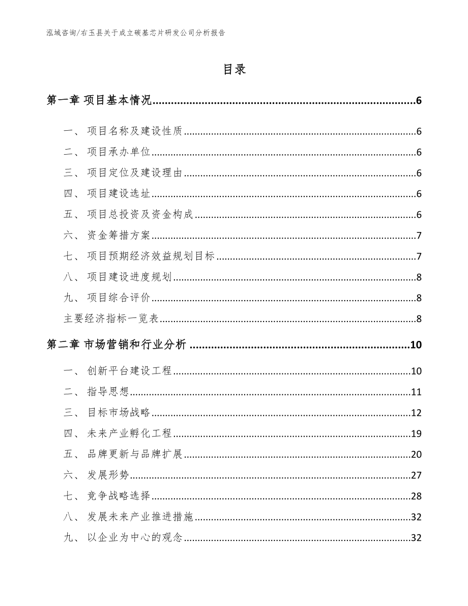 右玉县关于成立碳基芯片研发公司分析报告_模板范本_第1页