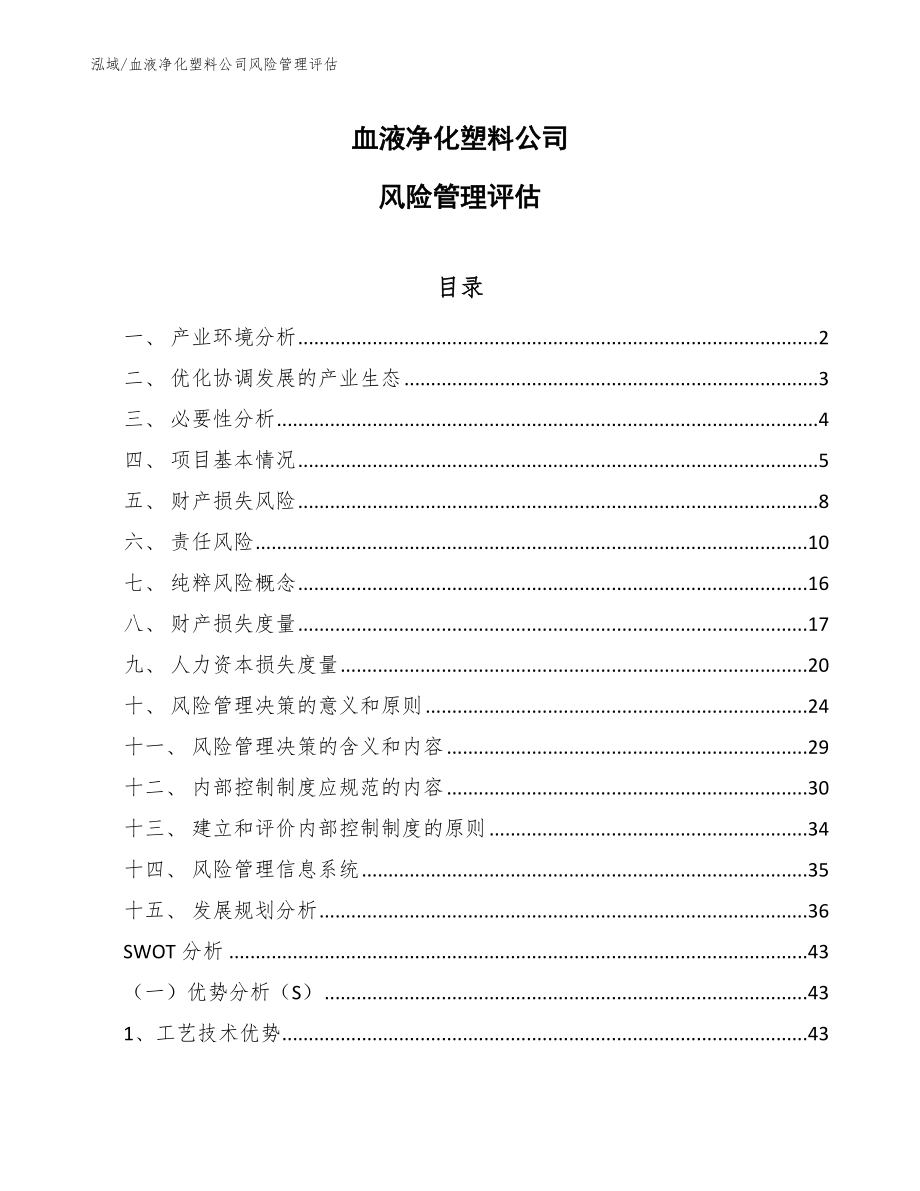 血液净化塑料公司风险管理评估【参考】_第1页