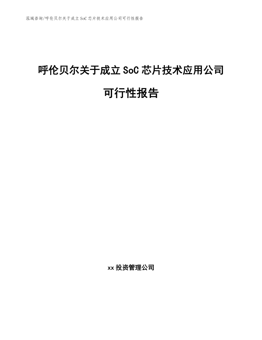 呼伦贝尔关于成立SoC芯片技术应用公司可行性报告范文_第1页