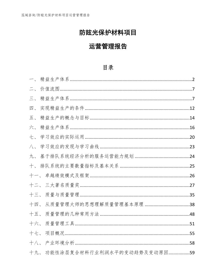 防眩光保护材料项目运营管理报告（参考）_第1页