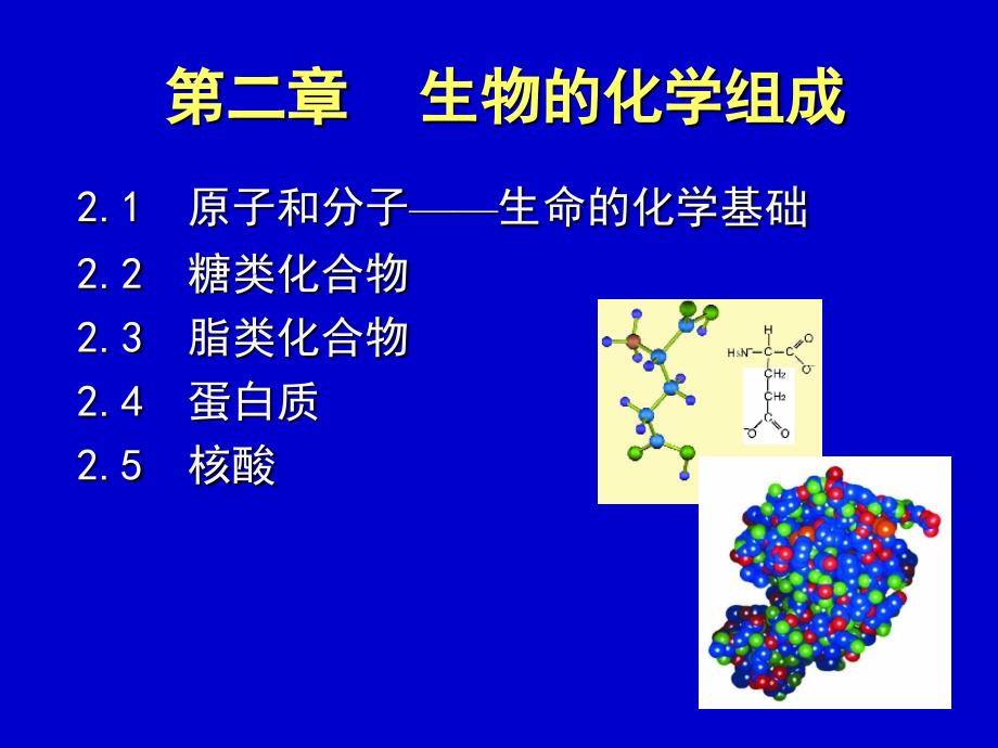 生物的化学组成_第1页