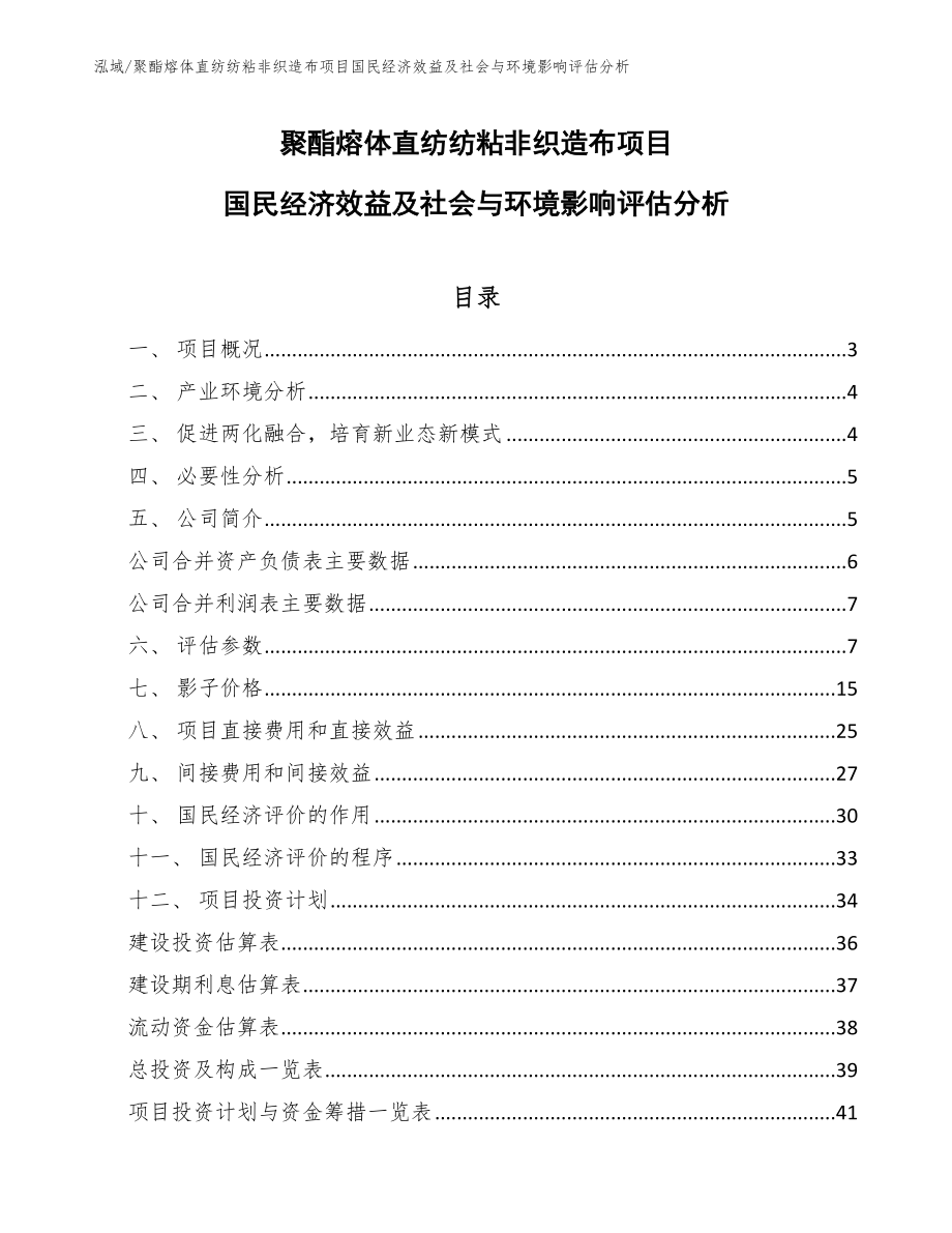 聚酯熔体直纺纺粘非织造布项目国民经济效益及社会与环境影响评估分析_范文_第1页