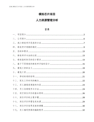 模拟芯片项目人力资源管理分析（范文）