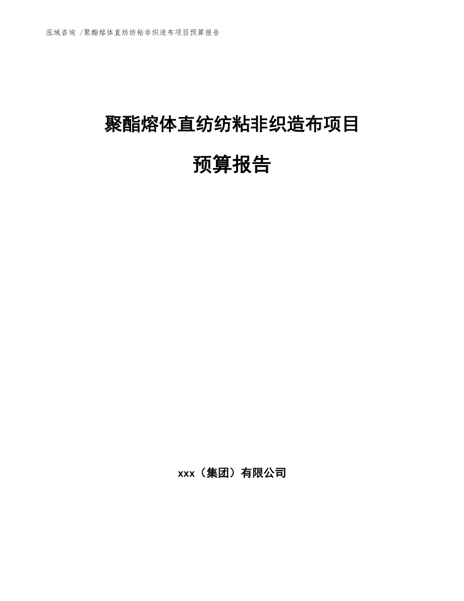 聚酯熔体直纺纺粘非织造布项目预算报告_模板范文_第1页