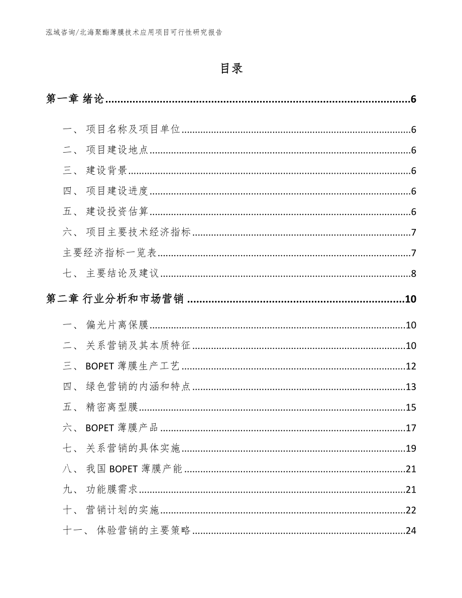 北海聚酯薄膜技术应用项目可行性研究报告_第1页