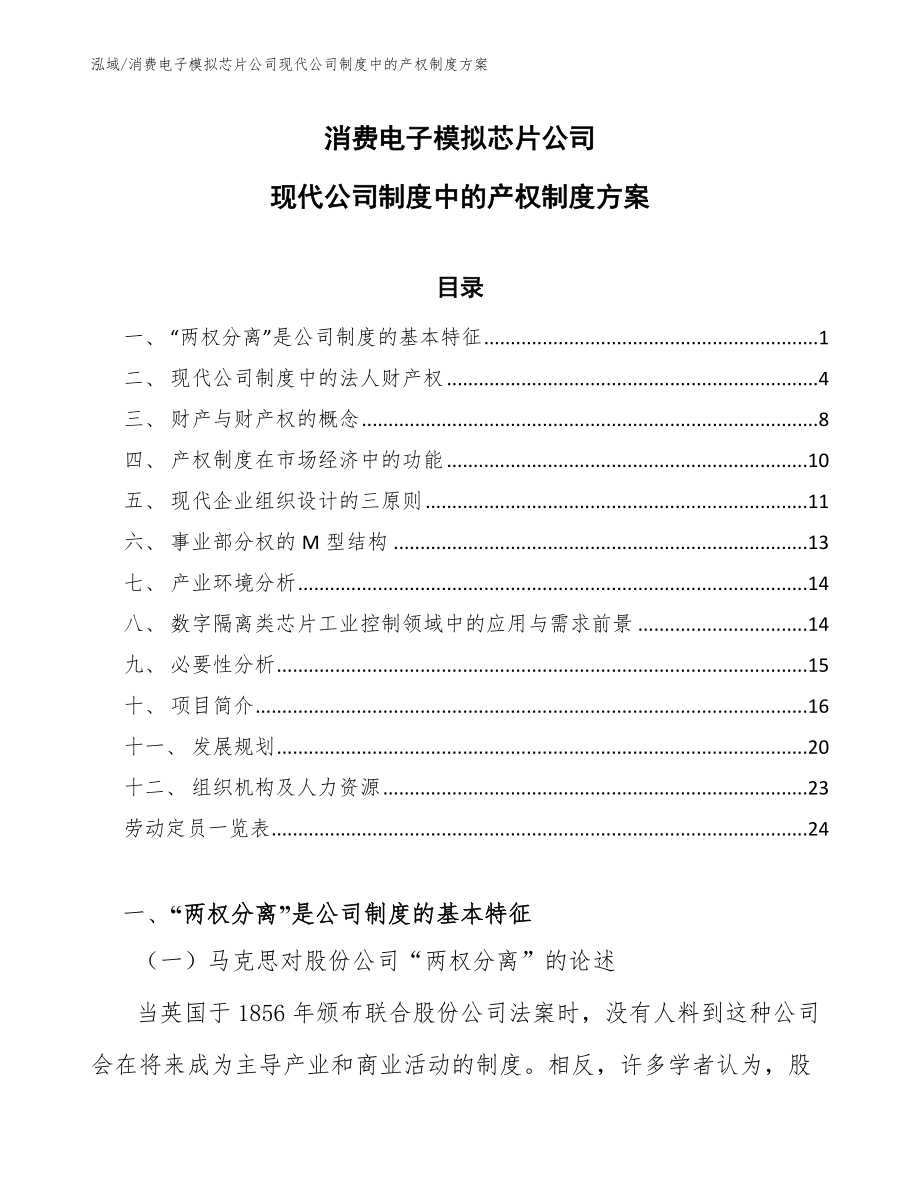 消费电子模拟芯片公司现代公司制度中的产权制度方案（范文）_第1页