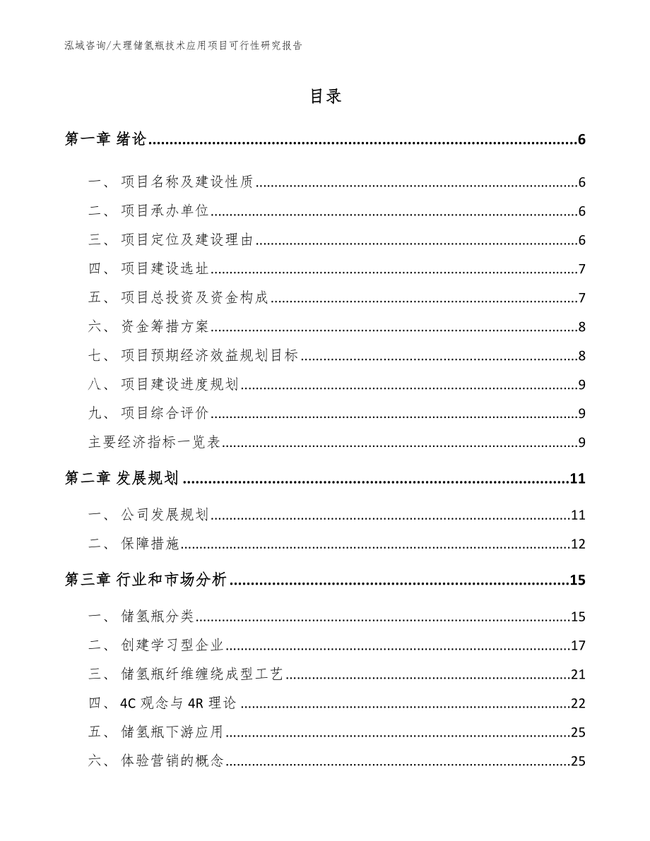 大理储氢瓶技术应用项目可行性研究报告_第1页