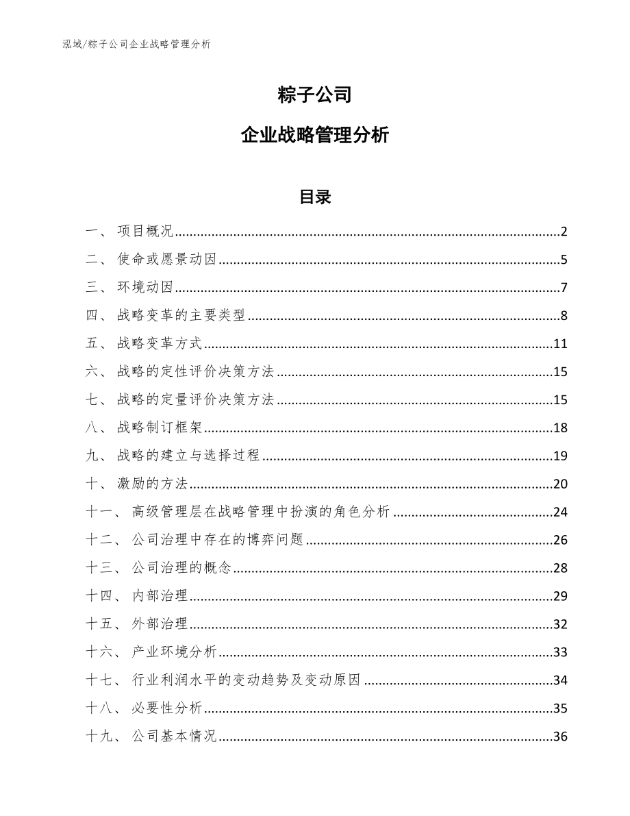 粽子公司企业战略管理分析【范文】_第1页