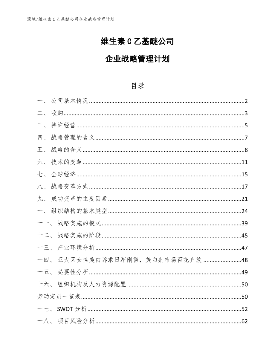 维生素C乙基醚公司企业战略管理计划_第1页