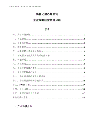 高氯化聚乙烯公司企业战略经营领域分析