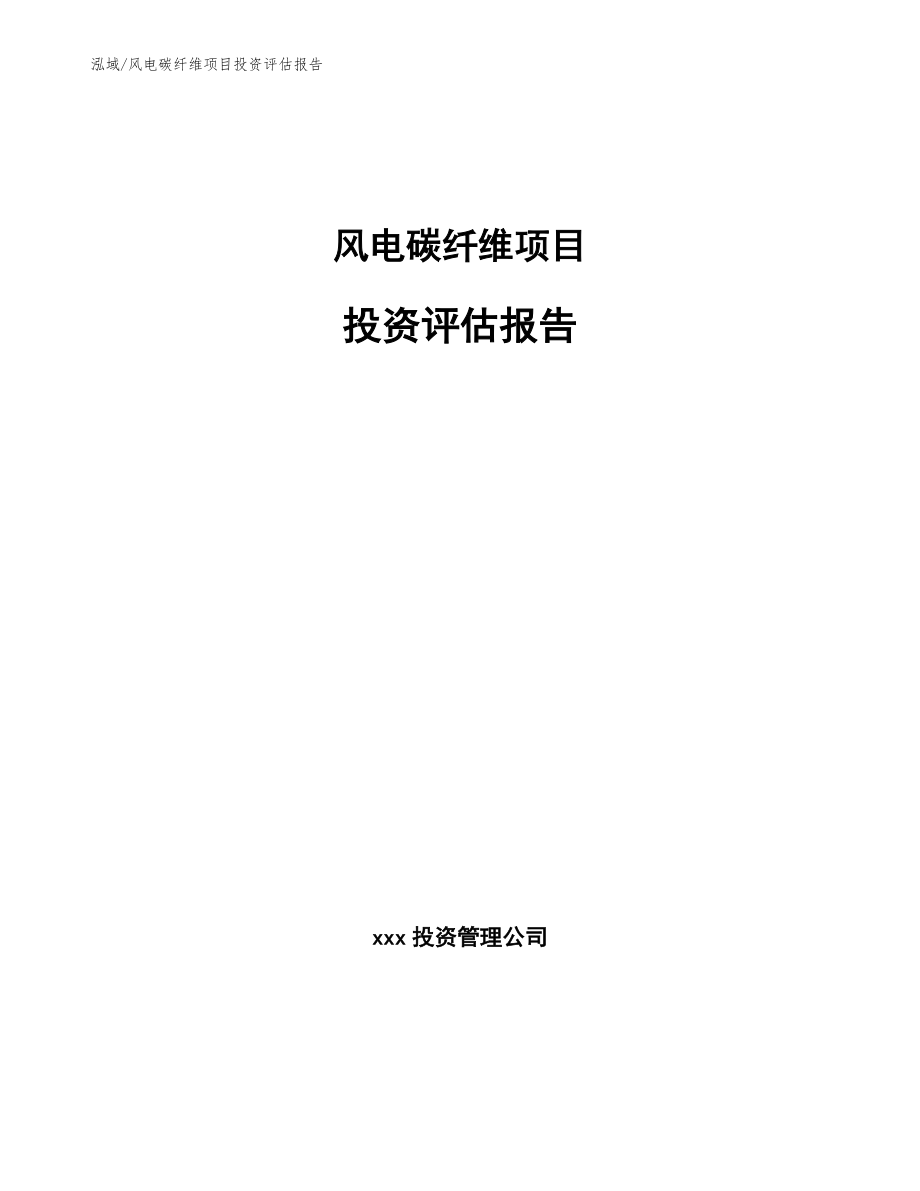 风电碳纤维项目投资评估报告_第1页