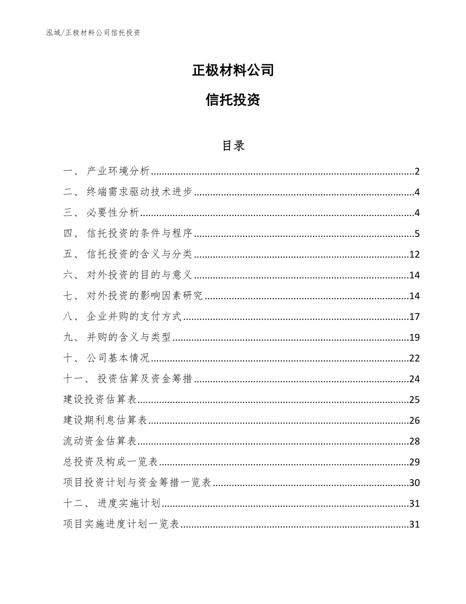 正极材料公司信托投资（范文）_第1页