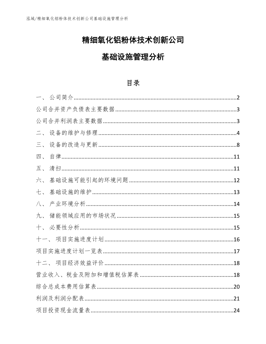 精细氧化铝粉体技术创新公司基础设施管理分析_参考_第1页