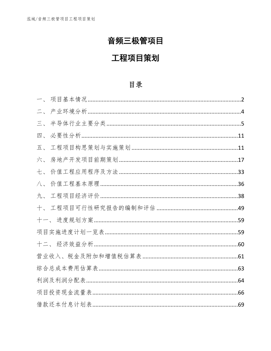 音频三极管项目工程项目策划_第1页