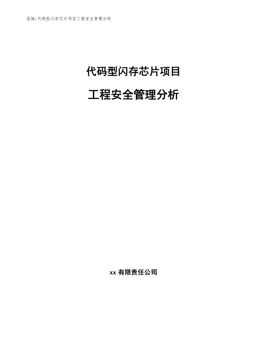 代码型闪存芯片项目工程安全管理分析（范文）_第1页