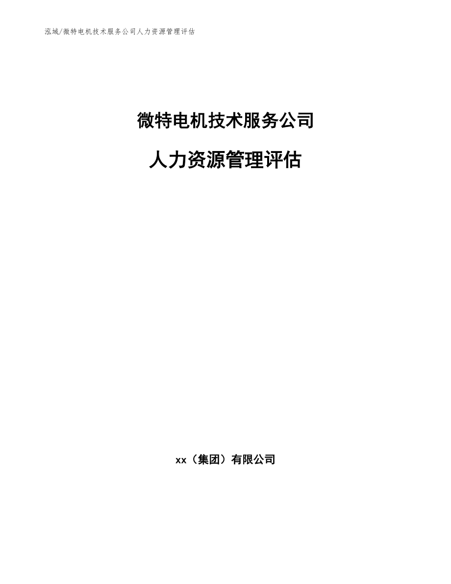 微特电机技术服务公司人力资源管理评估_第1页