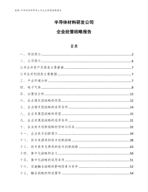 半导体材料研发公司企业经营战略报告（范文）