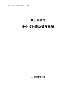 截止阀公司企业投融资决策及重组（范文）