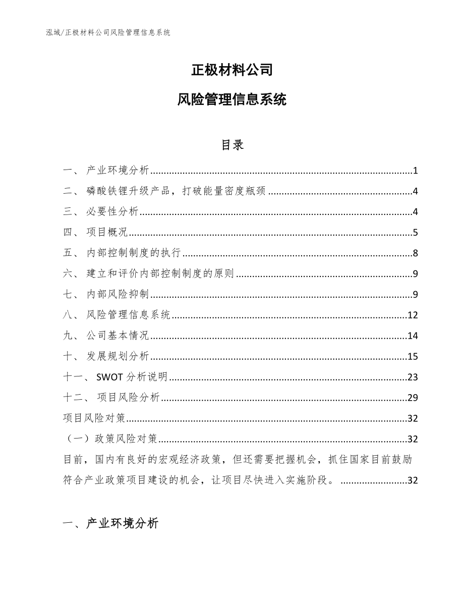 正极材料公司风险管理信息系统【参考】_第1页