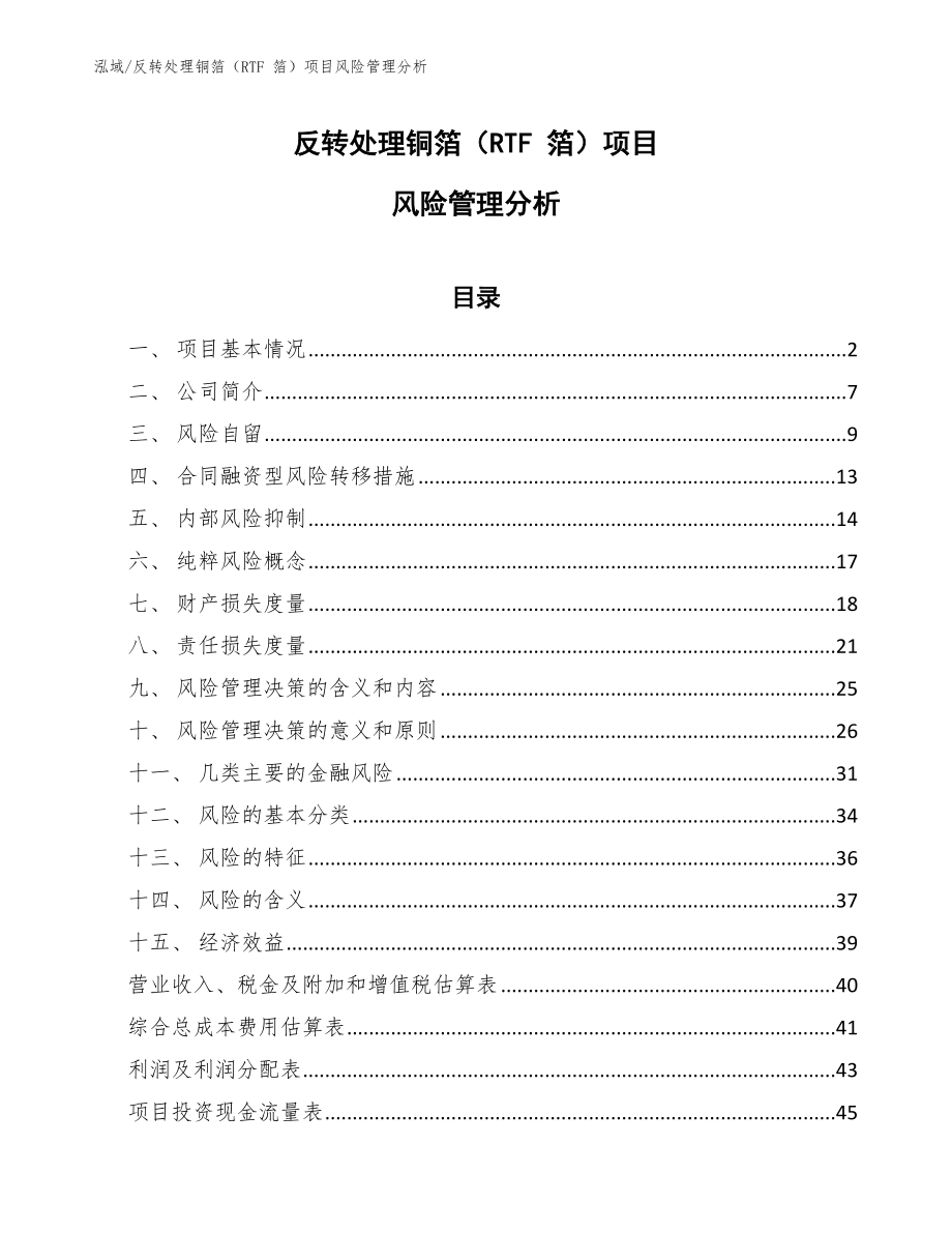 反转处理铜箔（RTF 箔）项目风险管理分析_第1页