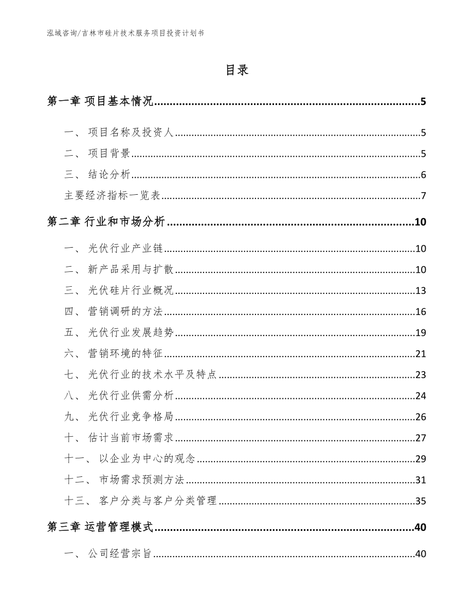 吉林市硅片技术服务项目投资计划书（范文）_第1页