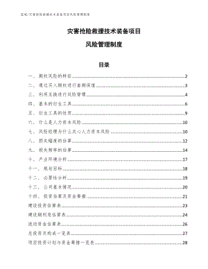 灾害抢险救援技术装备项目风险管理制度