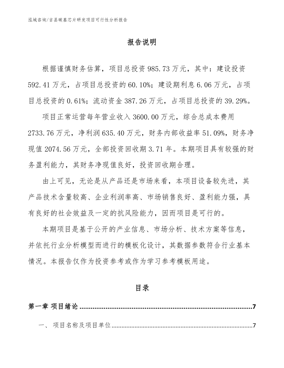 吉县碳基芯片研发项目可行性分析报告_模板范本_第1页