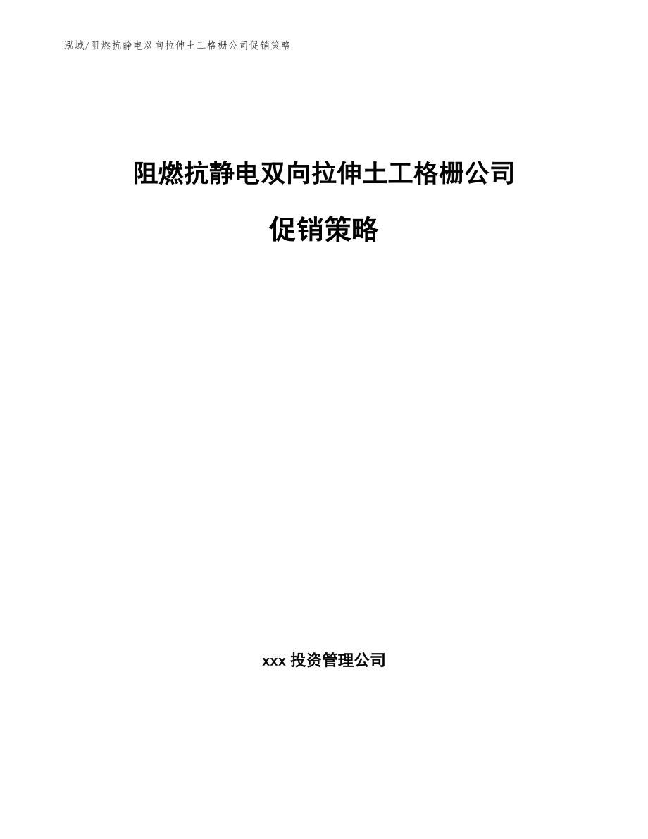 阻燃抗静电双向拉伸土工格栅公司促销策略_范文_第1页