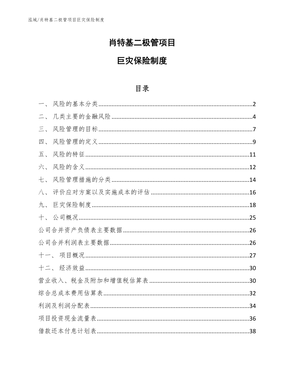 肖特基二极管项目巨灾保险制度【范文】_第1页