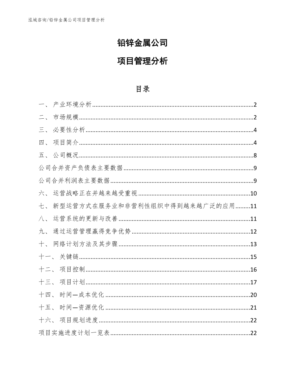 铅锌金属公司项目管理分析_范文_第1页