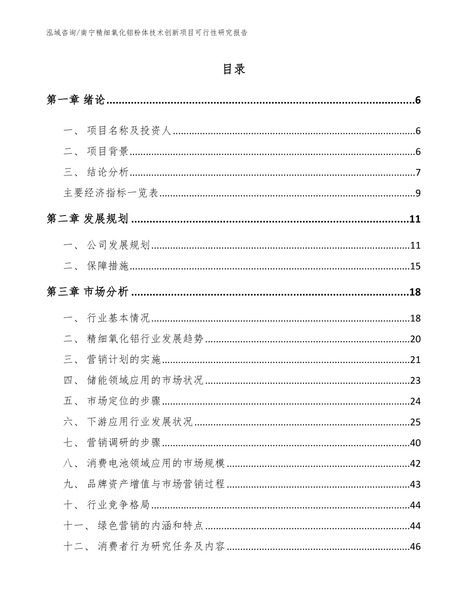 南宁精细氧化铝粉体技术创新项目可行性研究报告_第1页