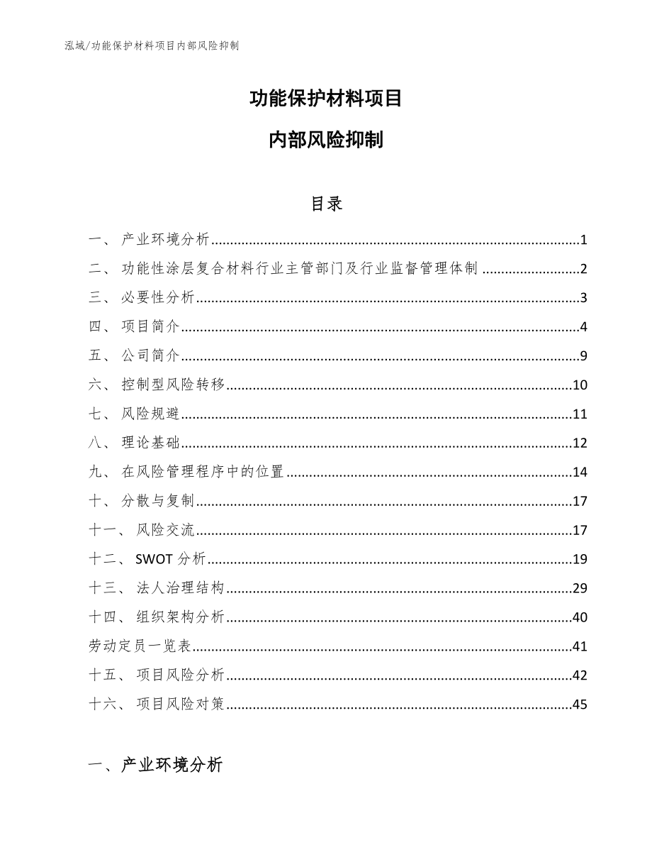 功能保护材料项目内部风险抑制【范文】_第1页