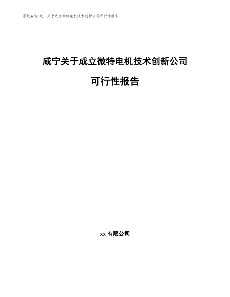 咸宁关于成立微特电机技术创新公司可行性报告_第1页