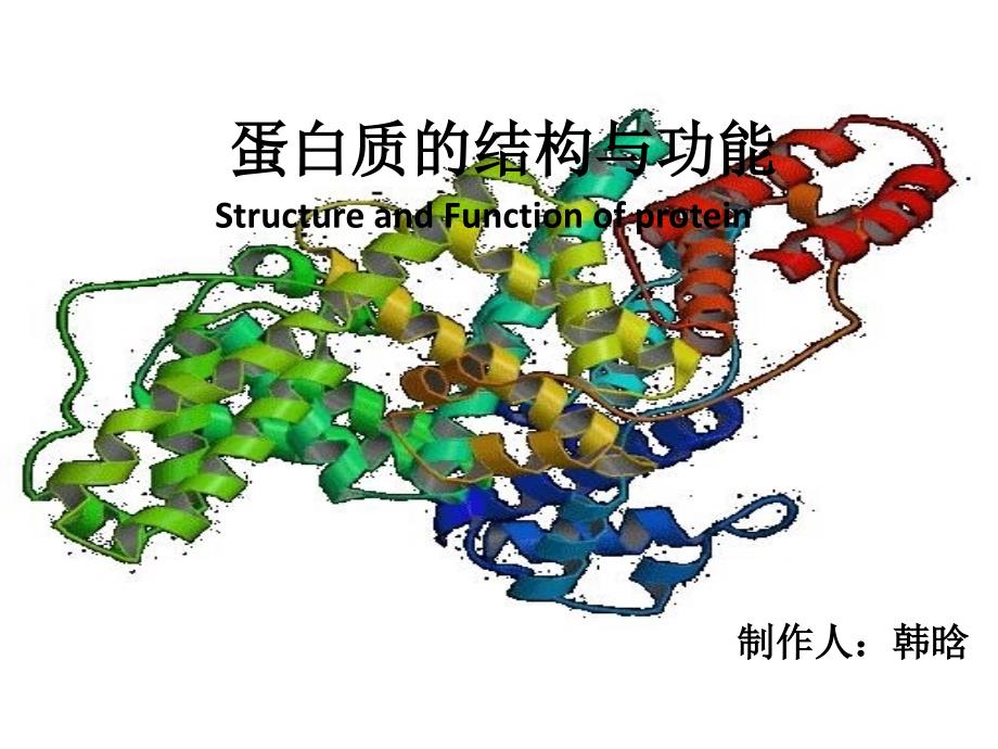 生化论文蛋白质的结构与功能_第1页