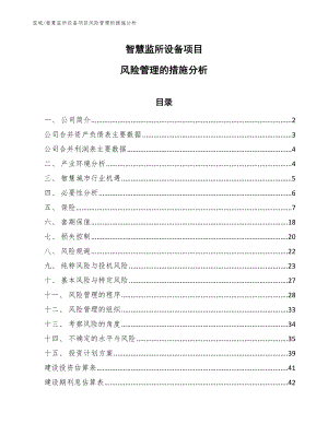 智慧监所设备项目风险管理的措施分析_参考